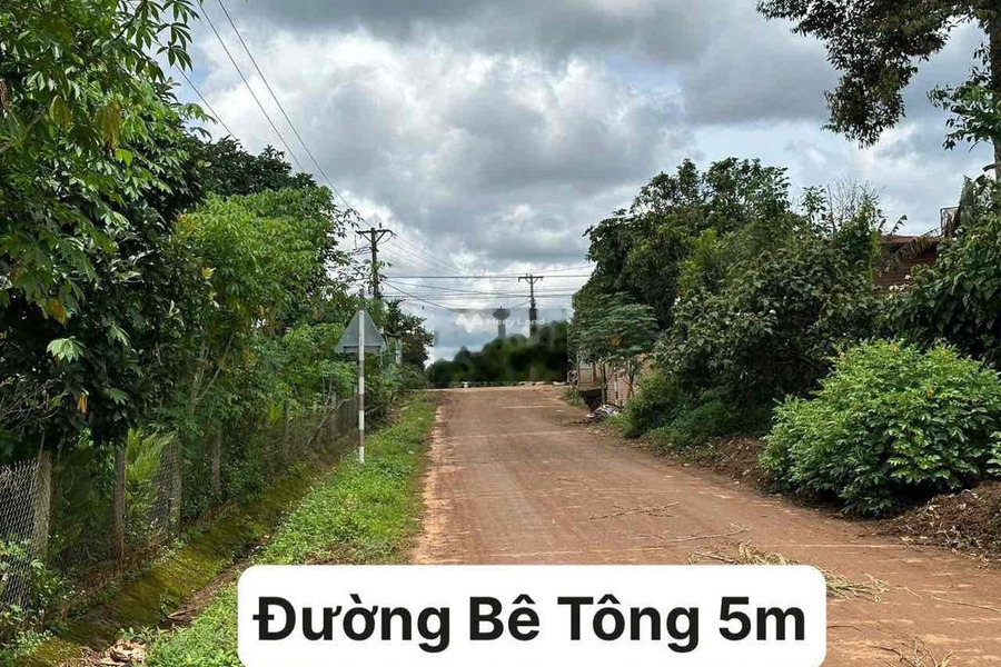 Krông Năng, Đắk Lắk bán đất giá bán siêu rẻ 310 triệu có diện tích là 330m2-01