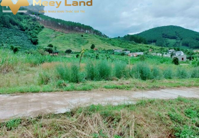 Bán đất 595m2 vị trí đẹp tọa lạc ngay ở Lâm Hà, Lâm Đồng