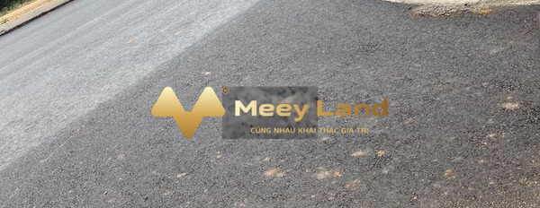 Phú Hội, Đồng Nai bán đất giá siêu ưu đãi từ 1.33 tỷ dt khoảng là 97m2-02