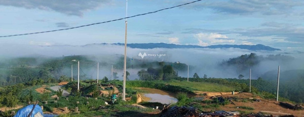 Vị trí thuận lợi tọa lạc tại Khúc Thừa Dụ, Lâm Đồng bán đất giá sang tên 600 triệu có diện tích chung 300m2-02
