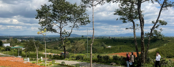 Bán đất tại The Venica Luxury, Bảo Lộc, Lâm Đồng. Diện tích 151m2, giá 5,8 tỷ-03