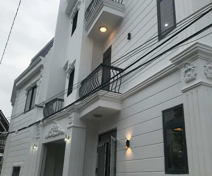 Bán nhà riêng thành phố Biên Hòa, tỉnh Đồng Nai giá 11,5 tỷ-01