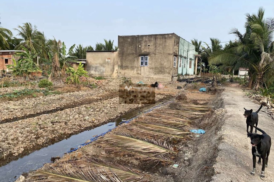 Trương Văn Đa, Hồ Chí Minh 8.5 tỷ bán đất có diện tích chính 2290m2-01