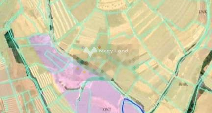 13 tỷ bán đất có diện tích thực 4444m2 vị trí thuận lợi ngay trên Xuân Thọ, Lâm Đồng-03