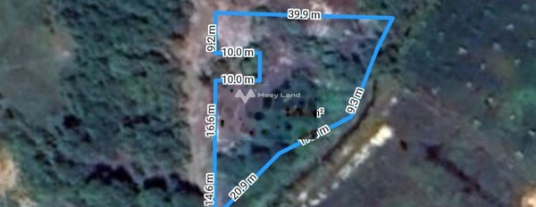 Bán đất 1.6 tỷ Tân Phước, Bình Thuận diện tích chung là 1090m2-02
