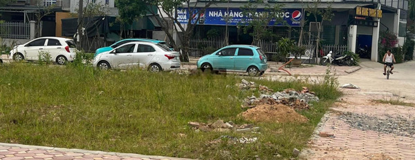 Bán đất đẹp đấu giá Tân Trung Chùa, đường 35 Hiền Ninh Sóc Sơn Hà Nội -03