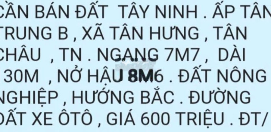 Có diện tích tiêu chuẩn 1000m2 bán đất giá bán khoảng từ 600 triệu-01