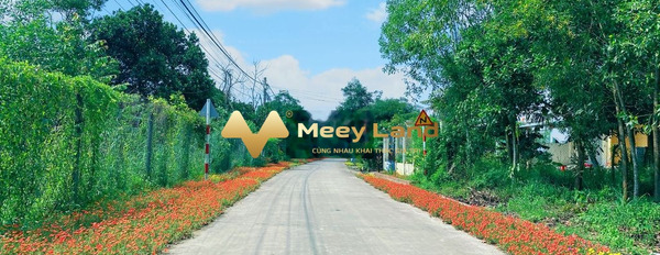 Bán đất diện tích 131m2, vị trí ở trong Xã Lộc An, Huyện Long Thành-03