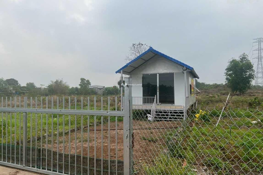 Bán nhà vườn Sông Thao, Trảng Bom 1,7 sào chỉ 1,35tỷ giá rẻ bất ngờ-01