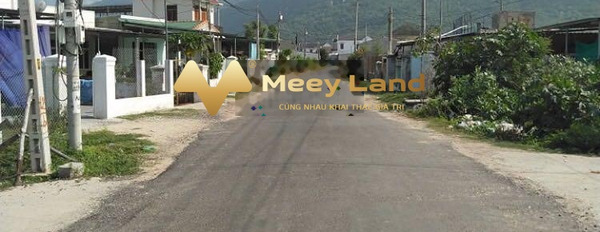 Bán đất tại thôn Ninh Tịnh, Ninh Phước, Ninh Hòa, Khánh Hòa. Diện tích 195m2, giá thương lượng-02