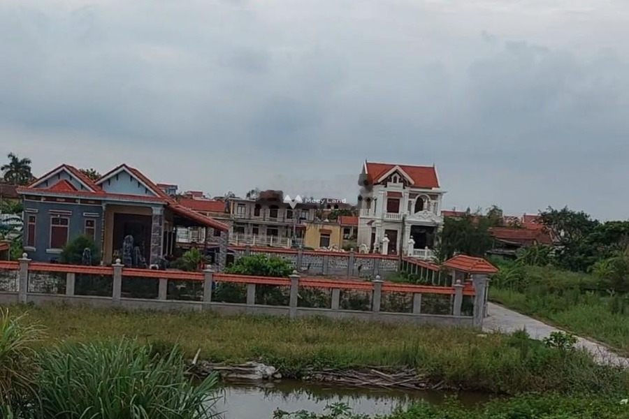 Bán đất 999 triệu Hải Hậu, Nam Định có diện tích tiêu chuẩn 210m2-01
