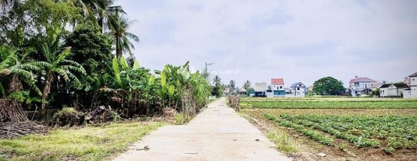 Diễn Hải, Nghệ An bán đất giá cực tốt chỉ 1 tỷ, hướng Đông có một diện tích sàn 240m2-03