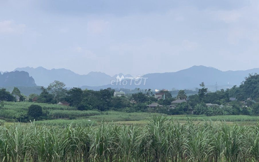 Châu Thành, Tây Ninh cho thuê đất thuê ngay với giá rẻ bất ngờ 29 triệu/tháng diện tích thực 9600m2-01