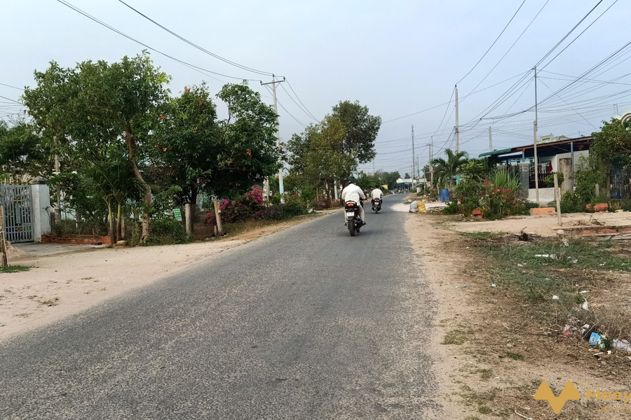 432,9m2 (100m2 ONT) đường Nguyễn Thông, Lagi gần biển, trường học siêu rẻ-01