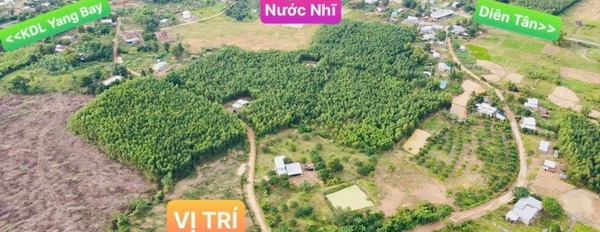 Bán vườn bưởi 500m2 quy hoạch ONT ngay ngã 3 Nước Nhỉ, Khánh Phú, Khánh Vĩnh-02