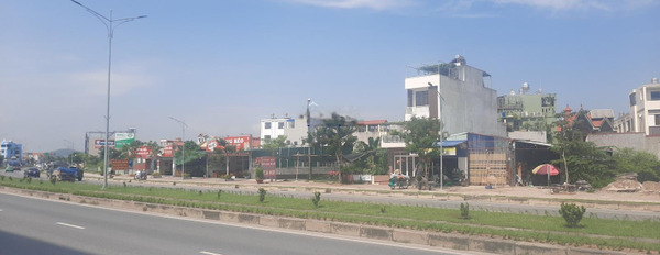 Bán đất mặt đường Bùi Viện (World Bank) gần bệnh viện Vinmec, Lê Chân, Hải Phòng -02