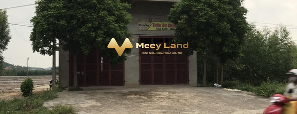 Bán đất Quốc Lộ 37, Bắc Giang diện tích chung 180 m2-02