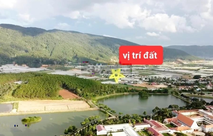 Bán đất 1.2 tỷ Đơn Dương, Lâm Đồng diện tích rộng 261m2-01