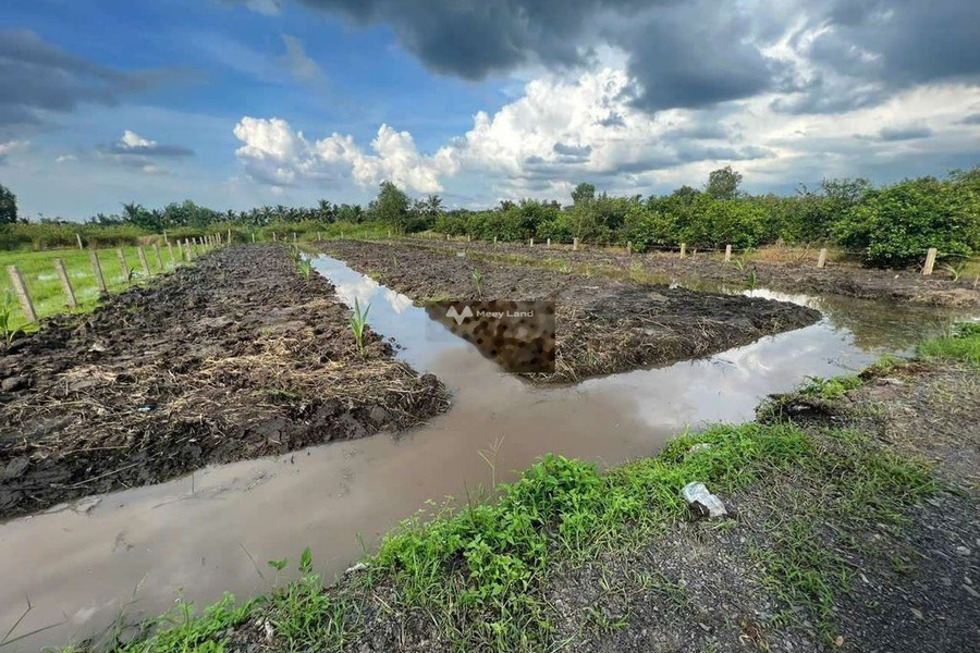 Giá siêu rẻ 750 triệu, Bán đất có một diện tích sàn 1000m2 vị trí đặt ngay trung tâm Thạnh Hòa, Long An, hướng Tây Nam chính chủ đăng tin-01