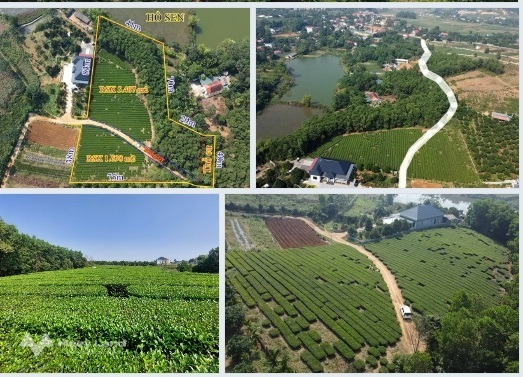 Chính chủ bán lô đất xã Tu Vũ, Thanh Thuỷ, Phú Thọ