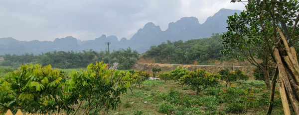 Lô đất đẹp Lương Sơn, Hòa Bình, sơn thủy hữu tình, có ao có suối, 2ha, 4,5 tỷ-03