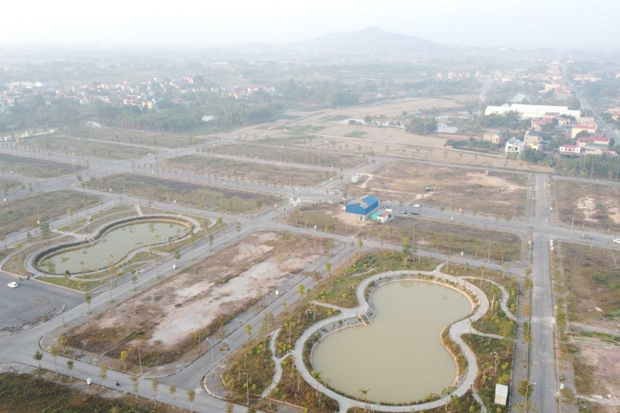 Giá siêu khủng 1.56 tỷ, Bán đất có diện tích rộng 75m2 vị trí đặt ở Việt Yên, Bắc Giang, hướng Đông - Nam lh tư vấn thêm-01