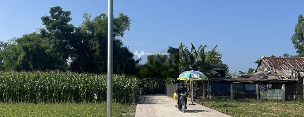 Đại Lộc, Quảng Nam bán đất giá bán tốt từ 355 triệu có diện tích thực 121m2-03