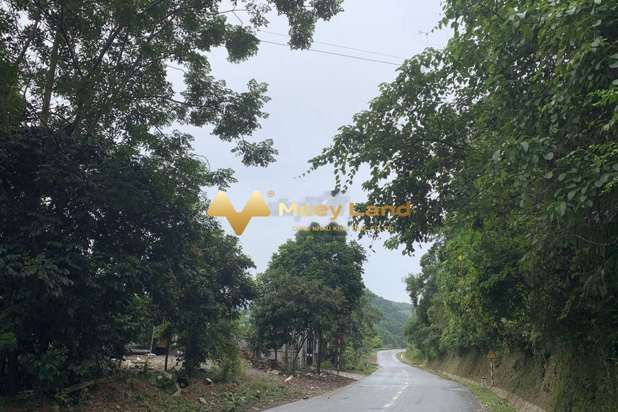 Bán đất 500 triệu Lê Anh Xuân, Lương Sơn có dt trung bình 247 m2-01