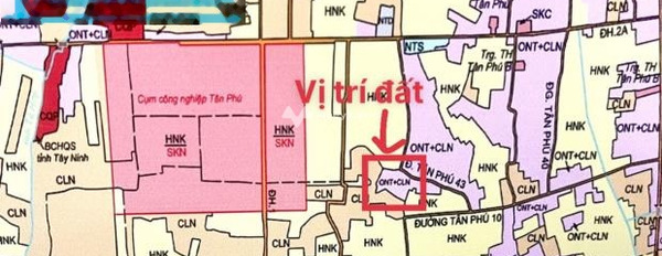 300 triệu bán đất Diện tích đất 150m2 vị trí thuận lợi ngay trên Tân Phú, Tây Ninh-03