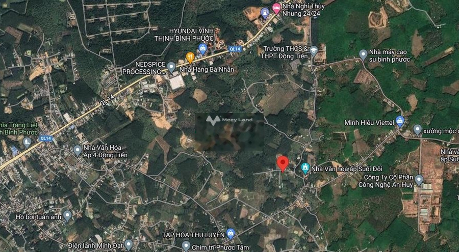 Vị trí đẹp nằm trên Đồng Phú, Bình Phước bán đất giá bán siêu khủng 530 triệu có diện tích chung là 940m2-01