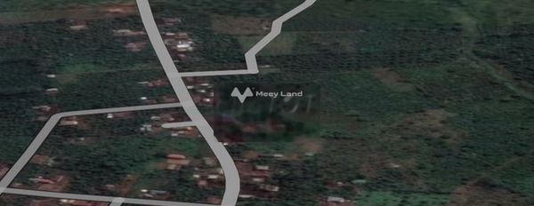 730 triệu bán đất có diện tích thực 3000m2 mặt tiền tọa lạc tại Cư Né, Đắk Lắk-02
