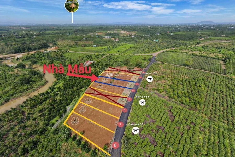 Cực hot bán mảnh đất, 1041m2 giá bán cực tốt 4.5 tỷ vị trí thuận lợi ngay tại Quốc Lộ 20, Lâm Đồng, hướng Đông - Nam vị trí thuận lợi-01