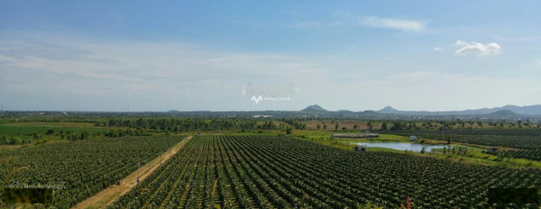 160 tỷ bán đất diện tích chung là 600000m2 vị trí đẹp tọa lạc gần Hàm Thuận Nam, Bình Thuận-03