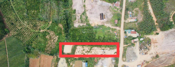 Giá bàn giao chỉ 4.07 tỷ bán đất diện tích khoảng là 1850m2 vị trí đặt ngay tại Phú Hội, Lâm Đồng-03