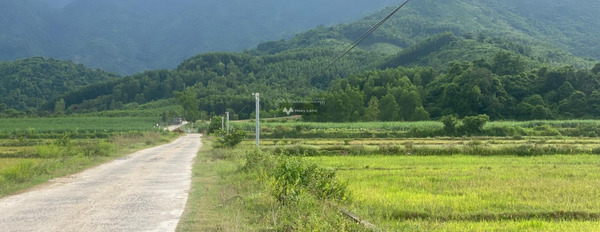 Do dịch bệnh bán mảnh đất, 600m2 giá siêu rẻ 295 triệu nằm ở Diên Khánh, Khánh Hòa giá có thể fix-03