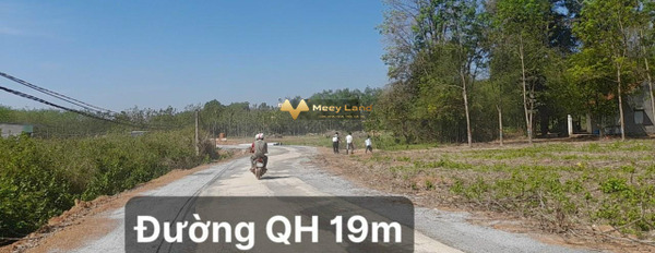 Giá cực tốt 700 triệu, Bán đất với dt khoảng 200m2 vị trí đẹp tại Đồng Phú, Bình Phước thuận tiện di chuyển-03