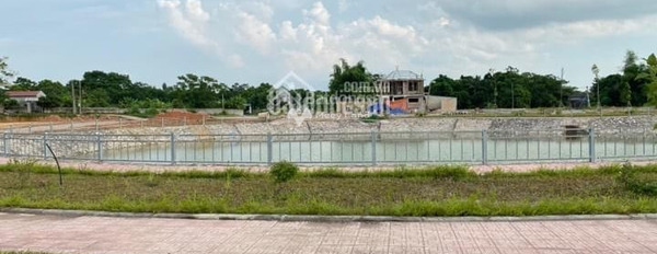 Cần bán đất tại Thắng Lợi, Thái Nguyên. Diện tích 100m2-03