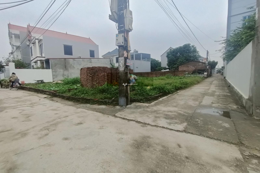 Bán đất diện tích 74m2 vị trí thuận tiện ngay tại Sóc Sơn, Hà Nội-01