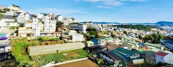 Tại Lê Hồng Phong, Đà Lạt bán đất 7.5 tỷ có diện tích rộng 81m2-03