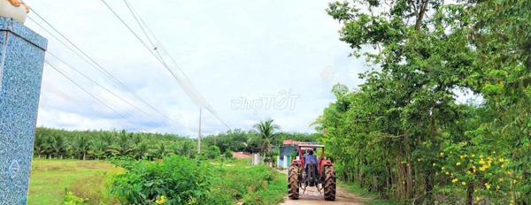 Đt 785, Tây Ninh 1.39 tỷ bán đất có diện tích quy ước 1000m2-03