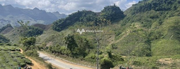 Mộc Châu, Sơn La bán đất giá rẻ bất ngờ chỉ 100 triệu diện tích trong khoảng 1000m2-03