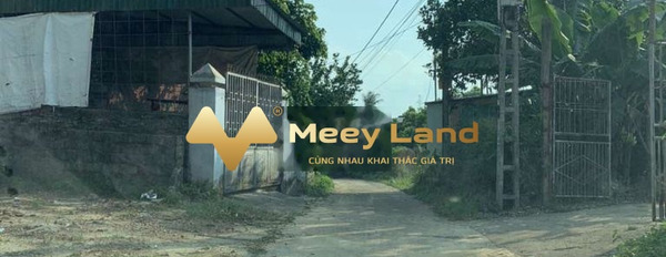 Tại Tố Hữu, Thái Nguyên bán đất giá bán ngạc nhiên chỉ 3,2 tỷ-03