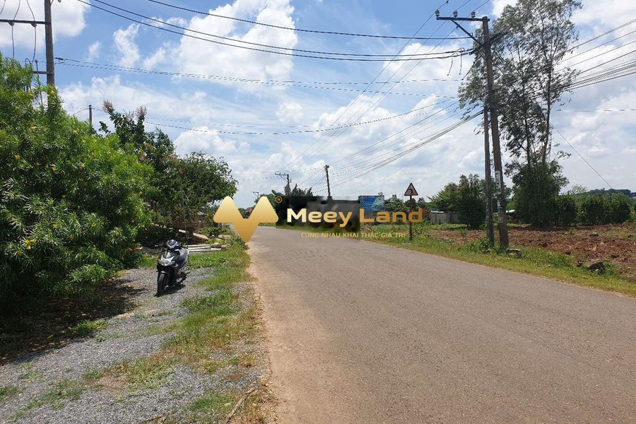 Bán đất tại Phước Bình, Long Thành, diện tích 9611m2-01