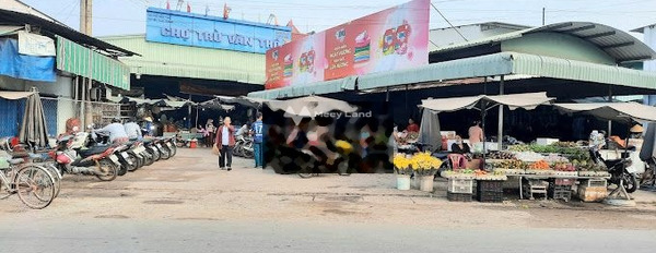 Trừ Văn Thố, Bàu Bàng bán đất giá hữu nghị chỉ 390 triệu, hướng Đông có diện tích tiêu chuẩn 500m2-02