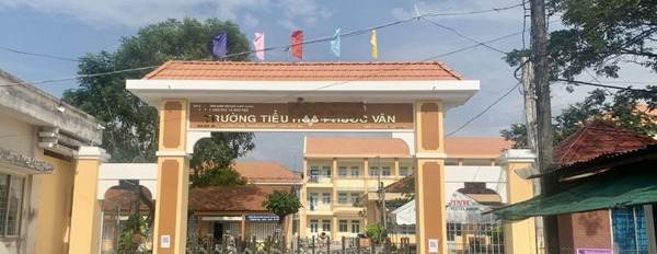 Vị trí thuận lợi tọa lạc gần Phước Vân, Cần Đước bán đất, giá bán liền chỉ 1.3 tỷ diện tích rất rộng 156m2-03