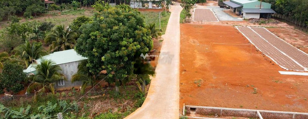 Phú Riềng, Bình Phước 330 triệu bán đất có một diện tích là 200m2-03