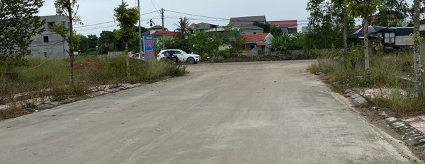 Bán đất khu phân lô đấu giá Lai Sơn - Đồng Tâm- Vĩnh Yên 100m2, giá 2 tỷ-02