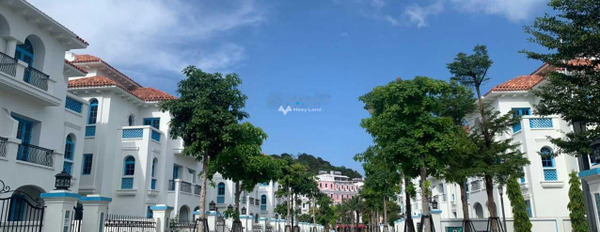 Bán biệt thự, bán ngay với giá thương mại chỉ 21 tỷ diện tích mặt tiền 200m2 vị trí đẹp tọa lạc tại Bãi Cháy, Quảng Ninh-02