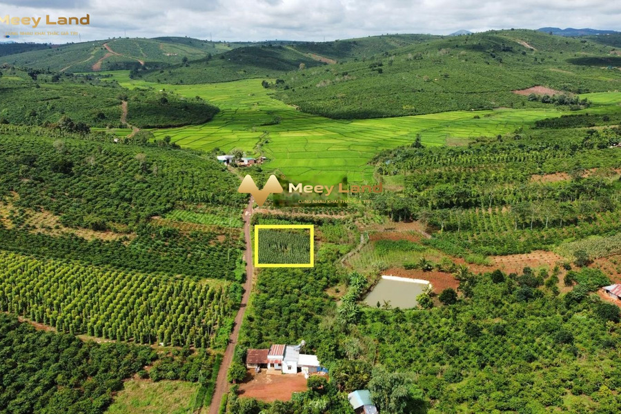 Bán mảnh đất, giá bán chính chủ 1.6 tỷ với tổng diện tích 1400 m2-01