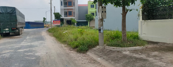 Bán đất nền dự án khu dân cư Dị Chế mới thị trấn Vương, trung tâm huyện Tiên Lữ-02